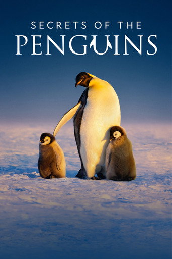 أسرار البطاريق (Secrets of the Penguins)