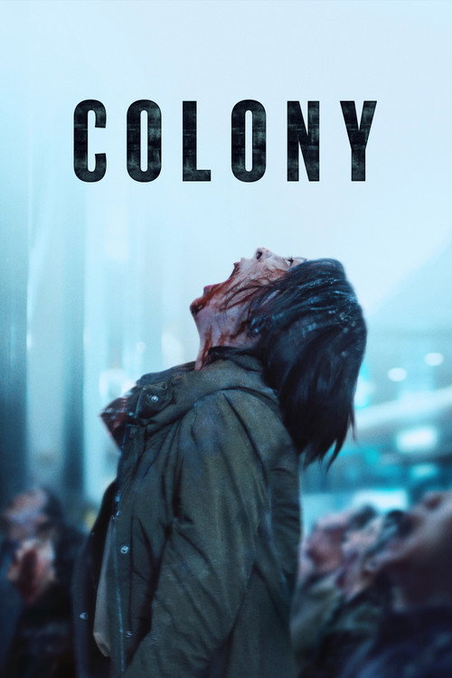 مستعمرة (Colony)